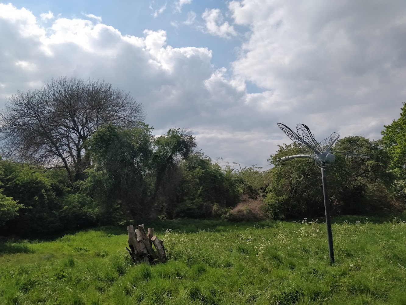 Hounslow Heath Local Nature Reserve — Source image