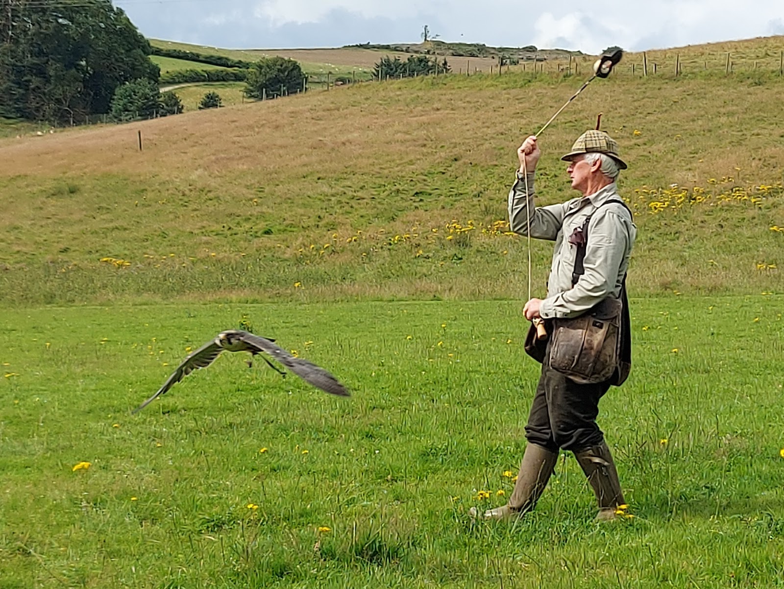 Huntly Falconry Centre — Place photograph
