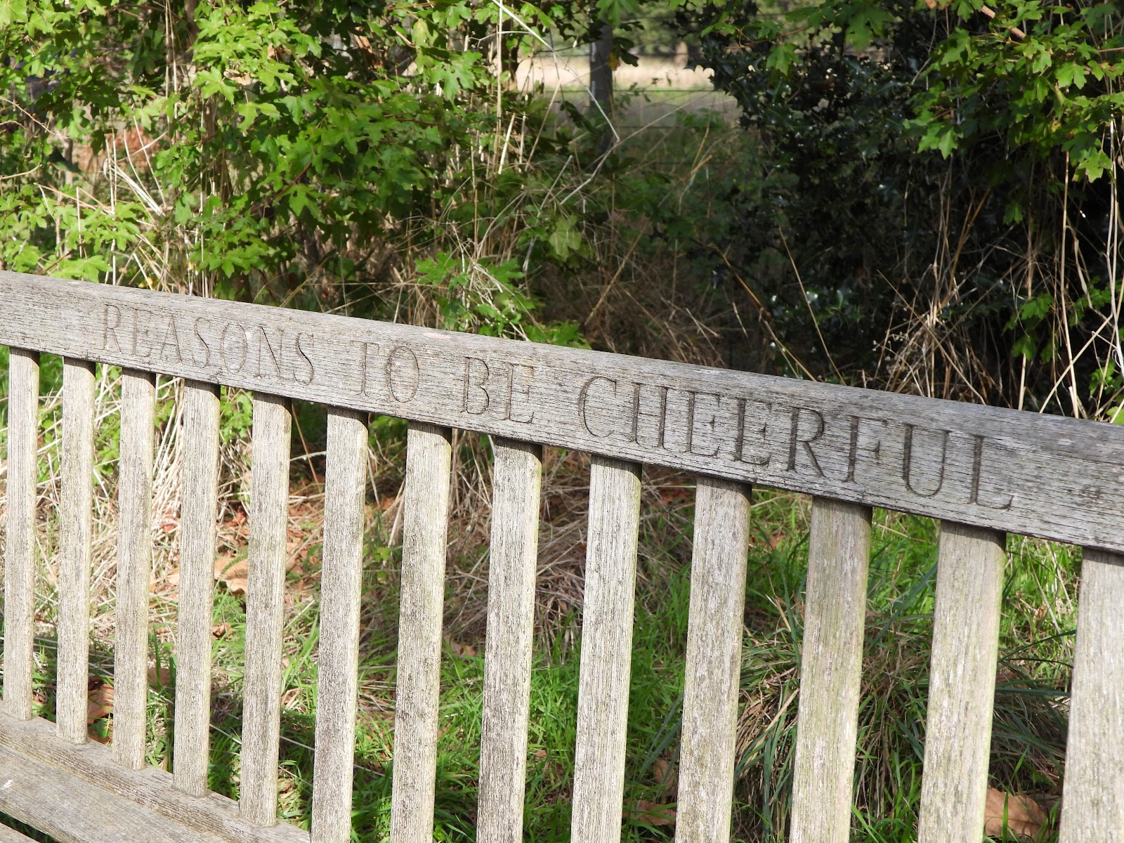 Ian Dury Memorial Bench — Place photograph