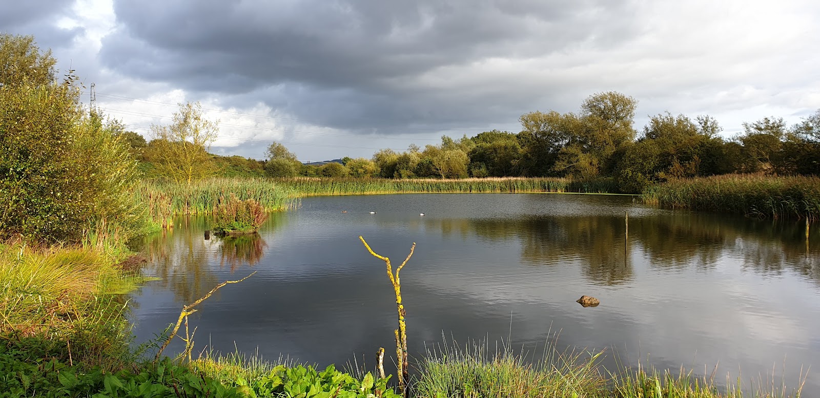 Kelham Bridge Nature Reserve — Place photograph