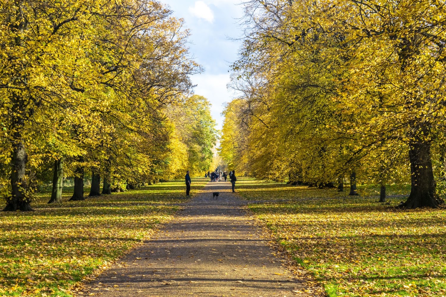 Kensington Gardens — Source image