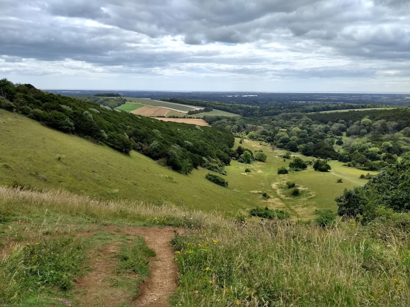 Kingley Vale National Nature Reserve — Source image