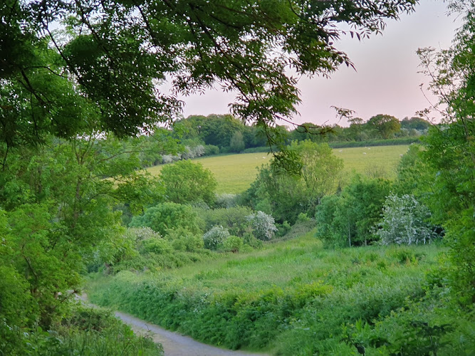 Knapp Copse Local Nature Reserve — Source image