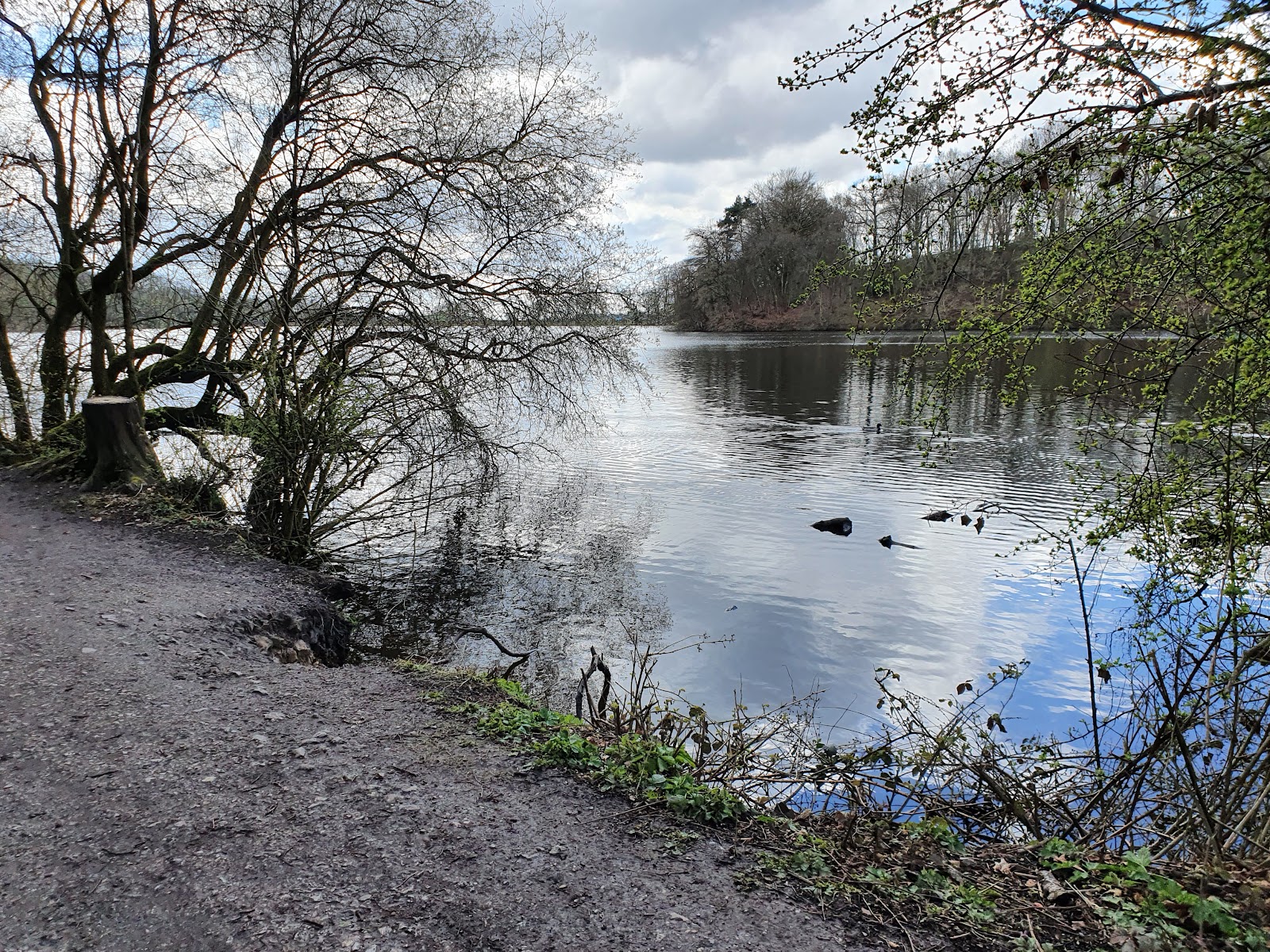 Knypersley Reservoir — Place photograph