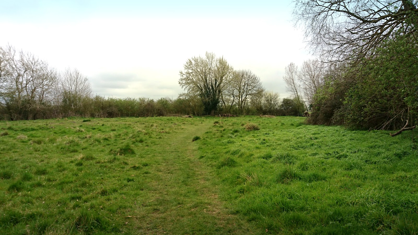 L-Moor, Shepreth — Place photograph