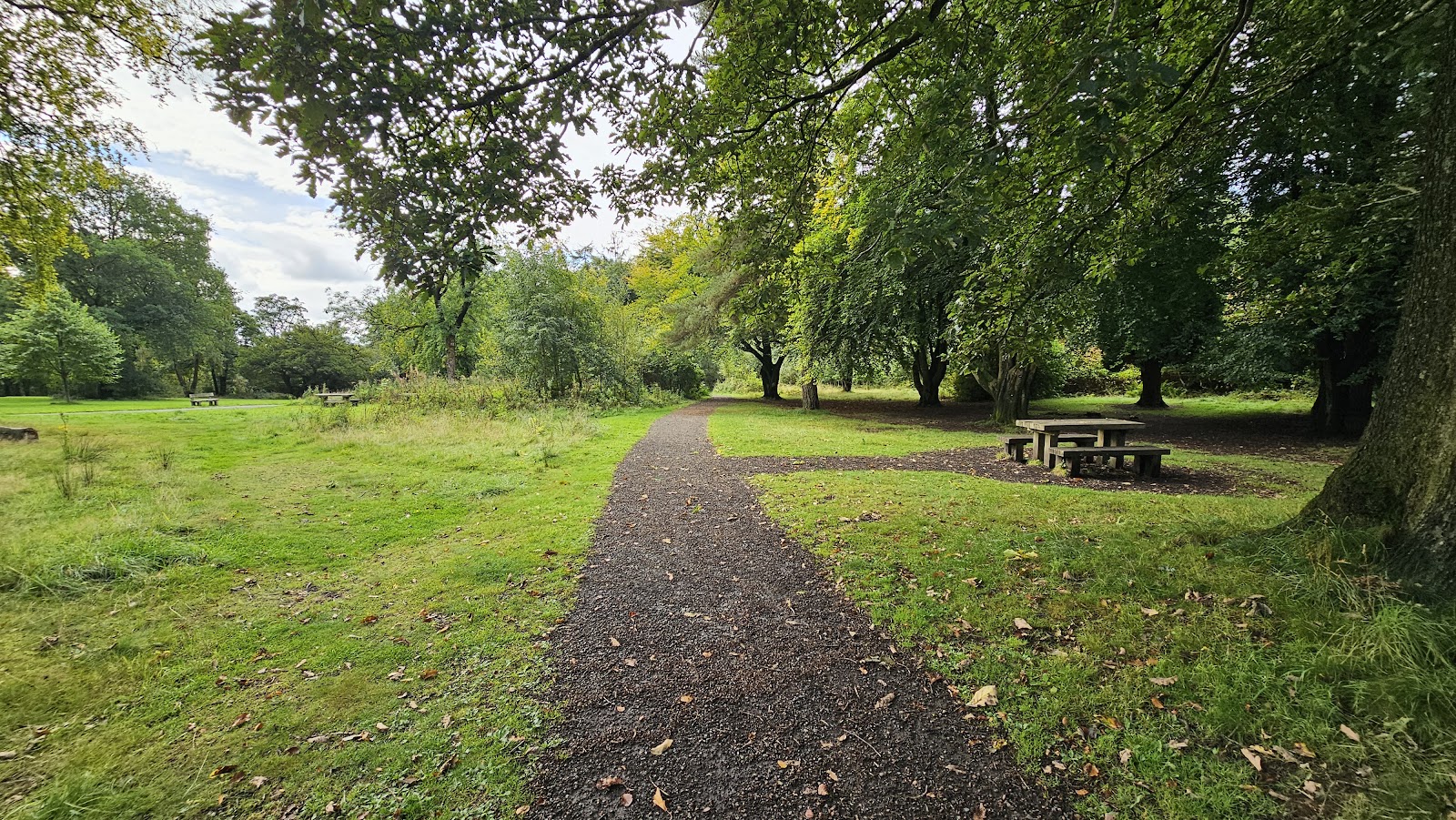 Larbert Woods — Place photograph