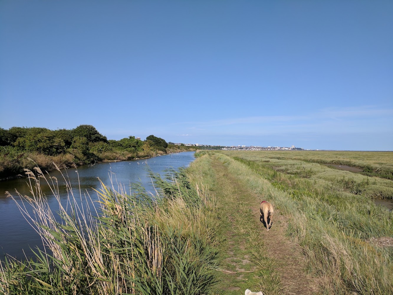 Leigh National Nature Reserve — Source image