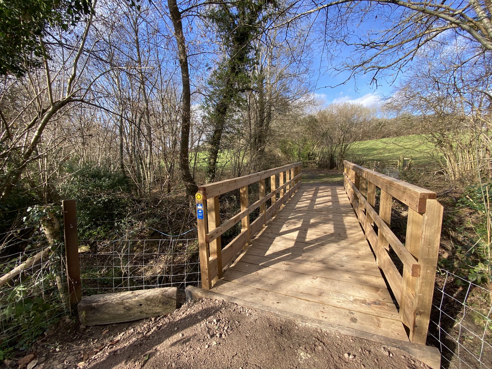 Little Foxes Copse - Woodland Trust