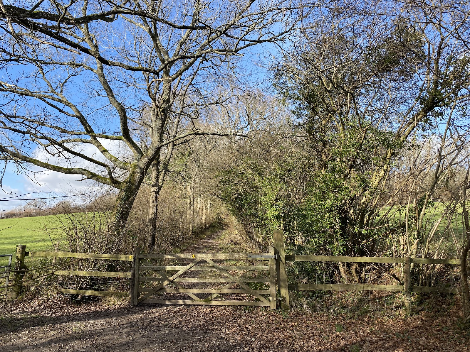 Little Foxes Copse 1.9-mile walk — Place photograph