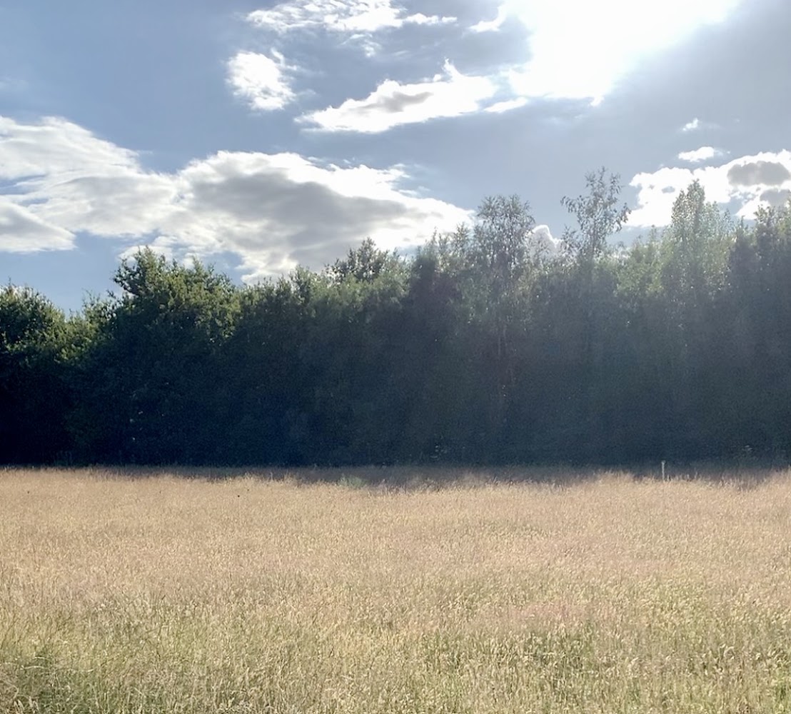 Little Haven Nature Reserve — Source image