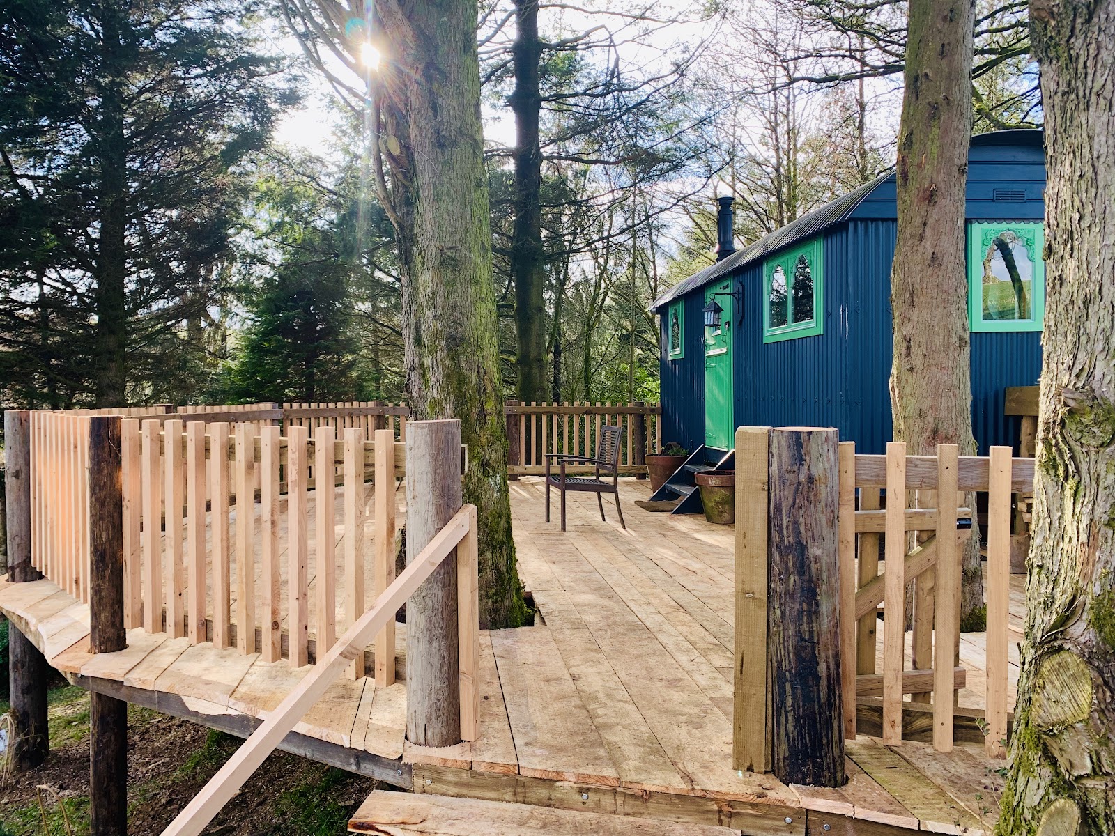 Llethrau Forest & Nature Retreats — Place photograph