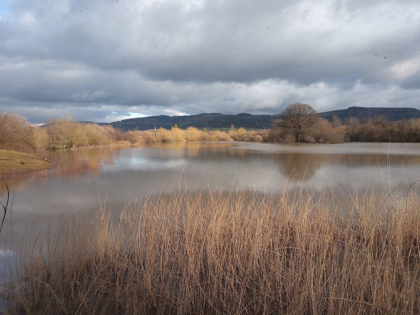 Llyn Coed y Dinas Nature Reserve — Place photograph