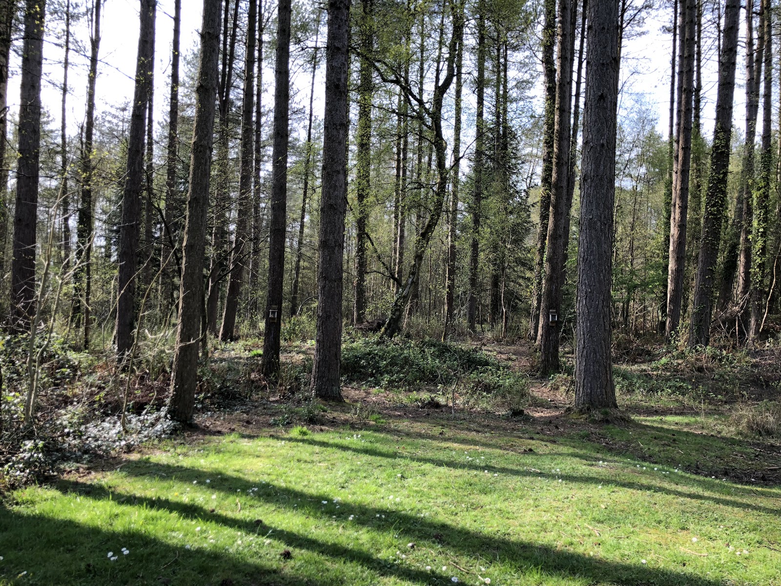 Llyn Parc Mawr — Place photograph