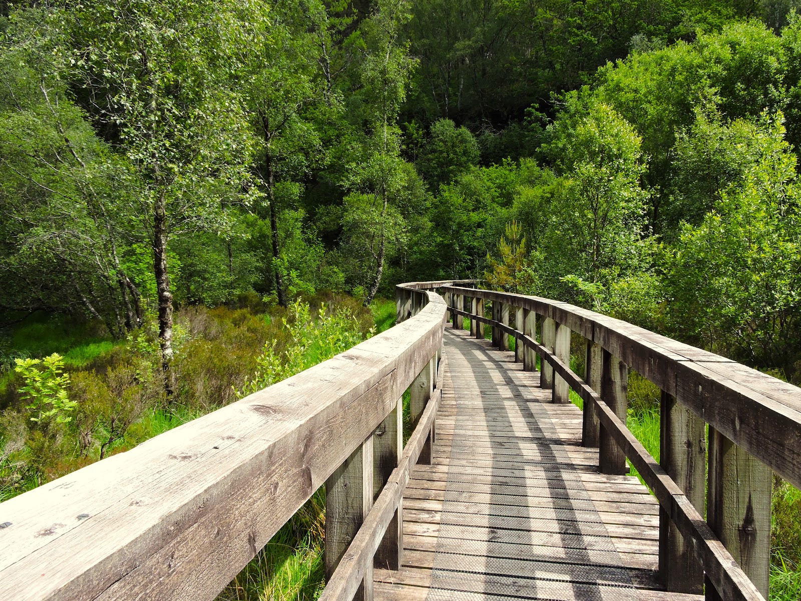 Lochan na Dunaich Trail — Place photograph