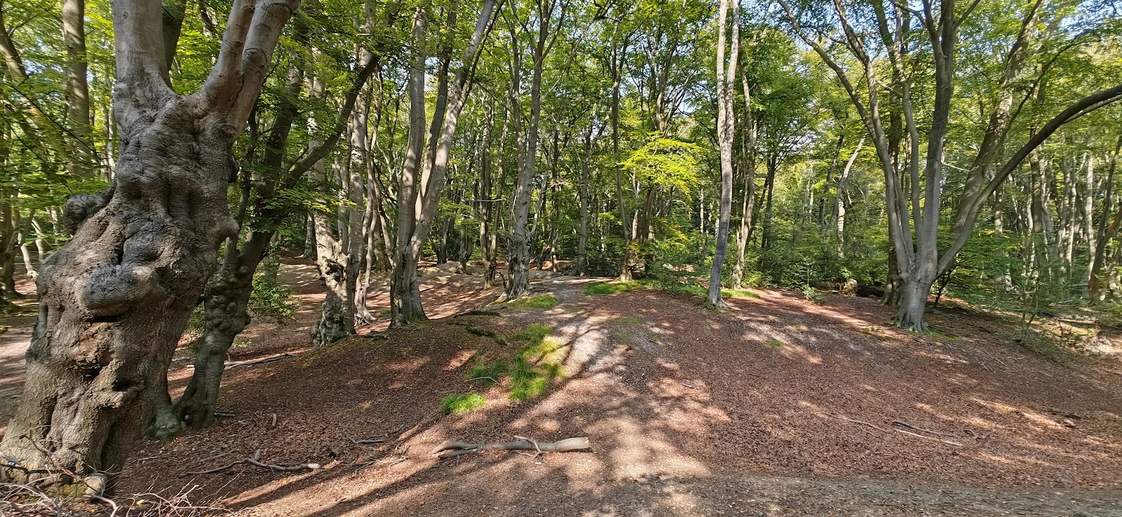 Loughton Camp — Source image
