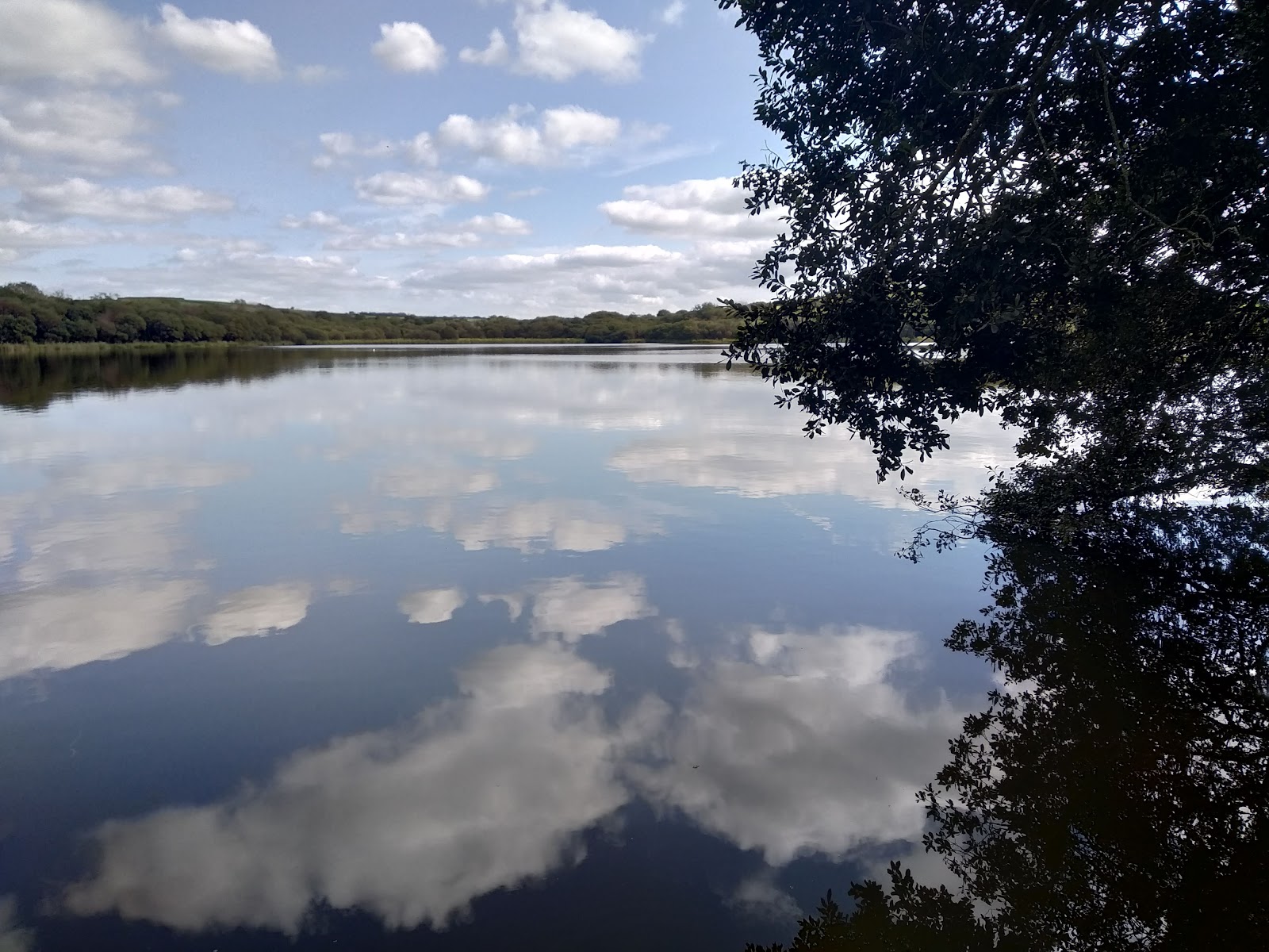Lower Tamar Lake — Place photograph