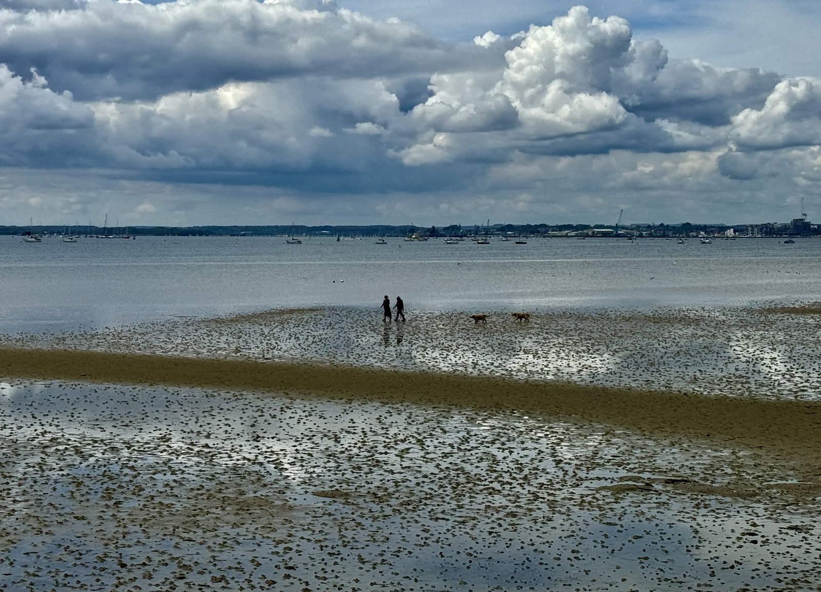 Luscombe Valley Nature Reserve — Place photograph