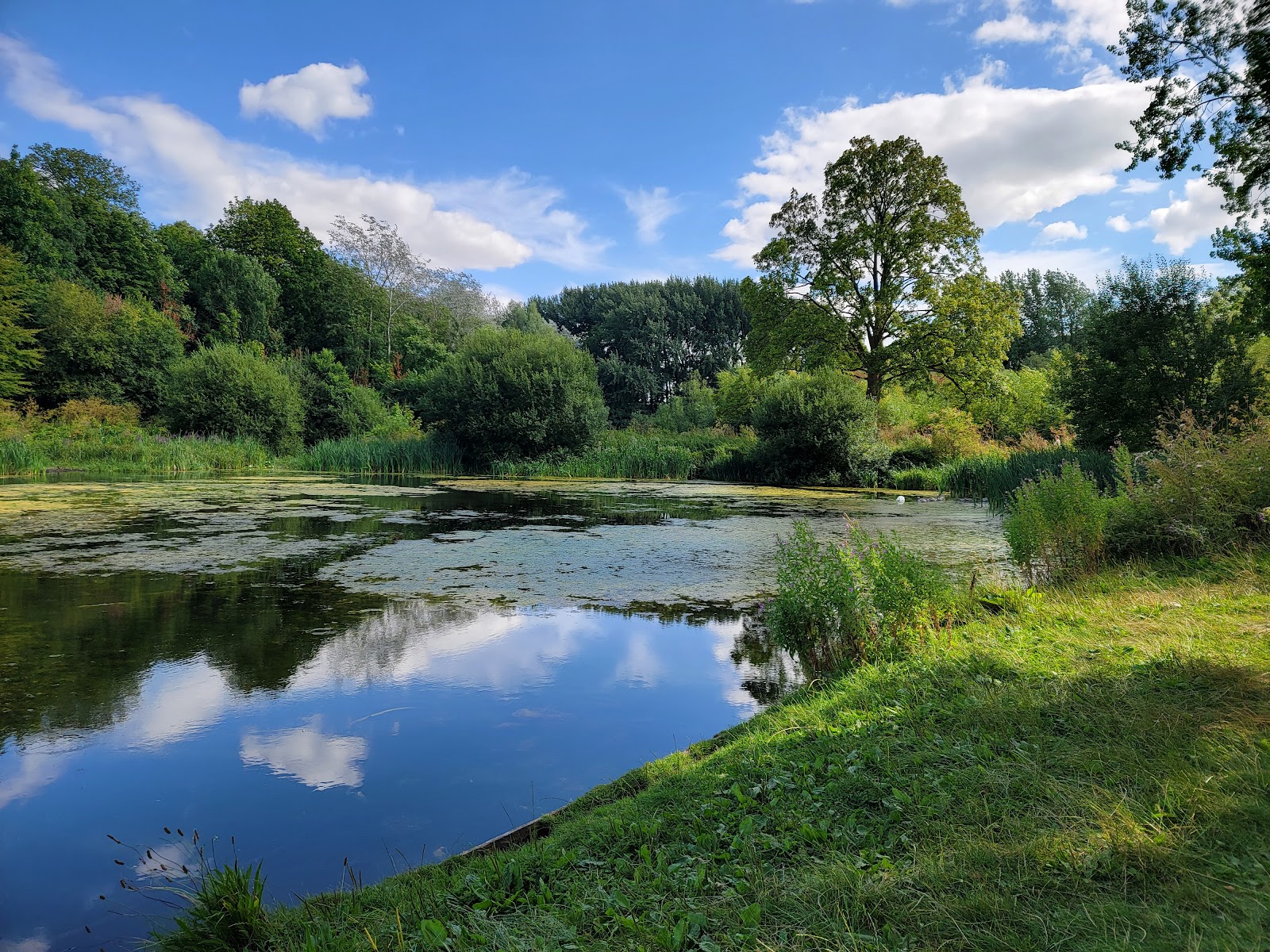Lydiard Park Lake — Place photograph