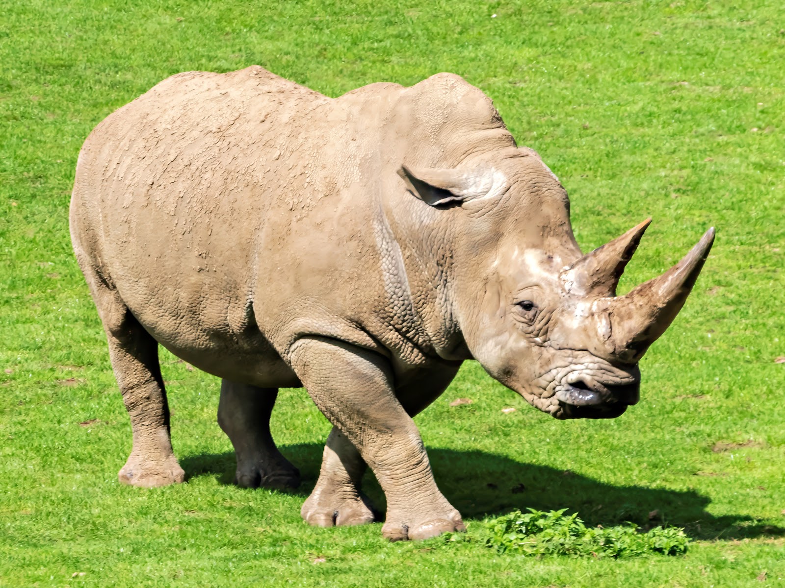Marwell Zoo — Place photograph