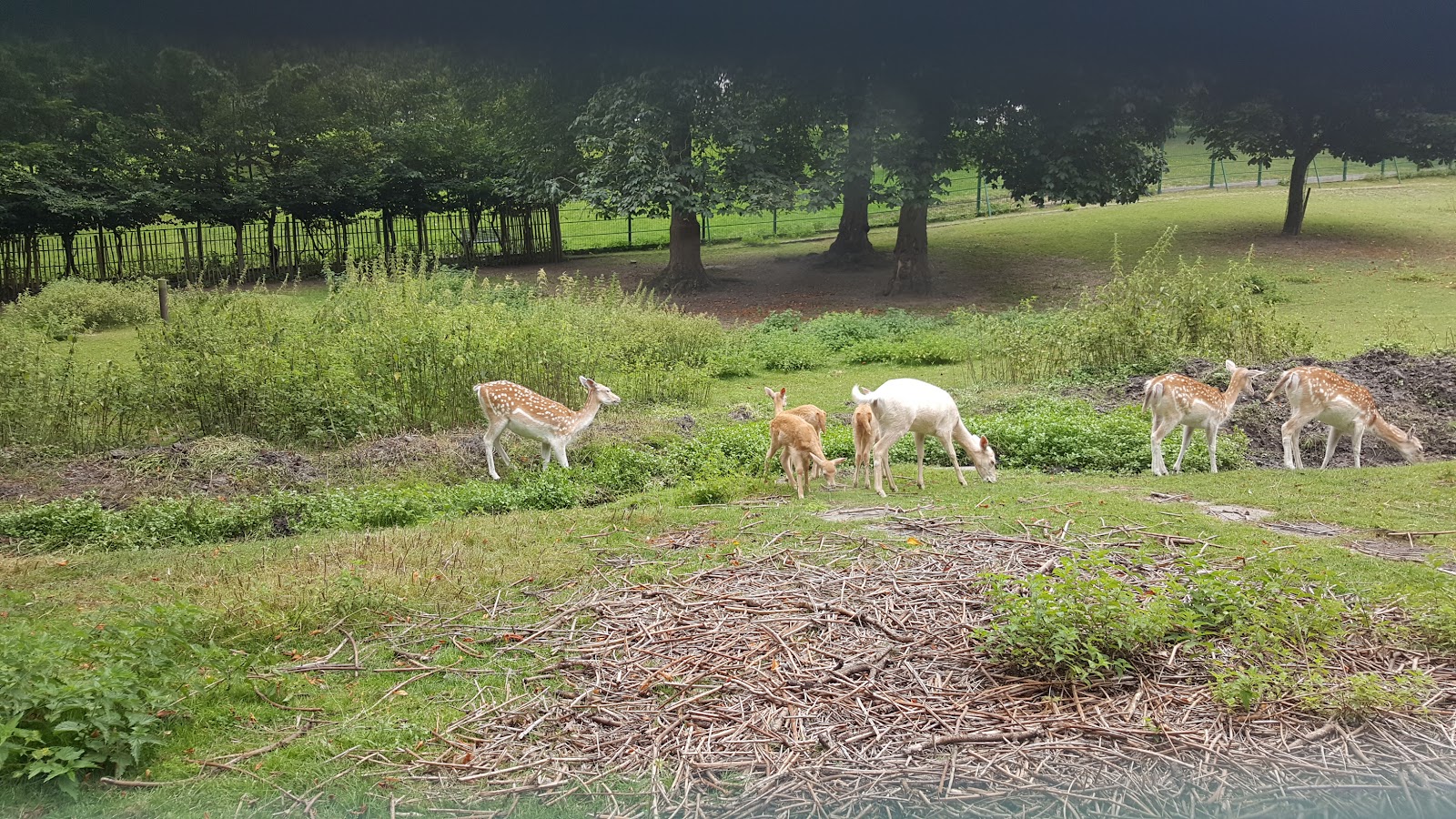 Maryon Wilson Animal Park — Source image