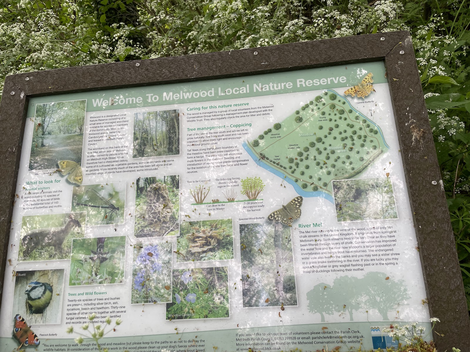 Melwood Local Nature Reserve — Place photograph
