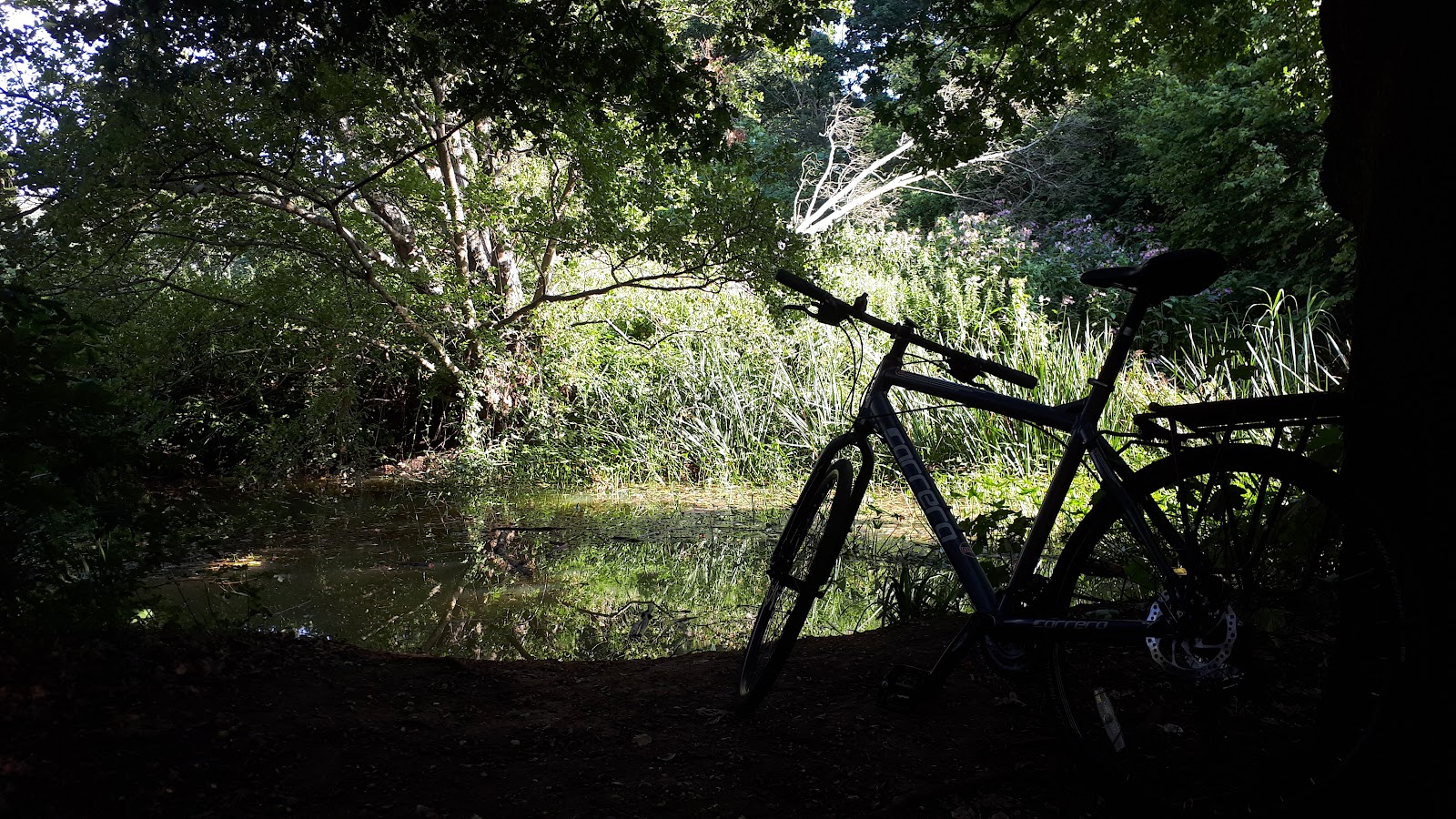 Millhams Mead Circular — Place photograph