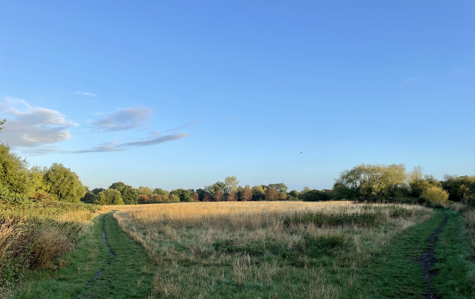 Molesey Heath