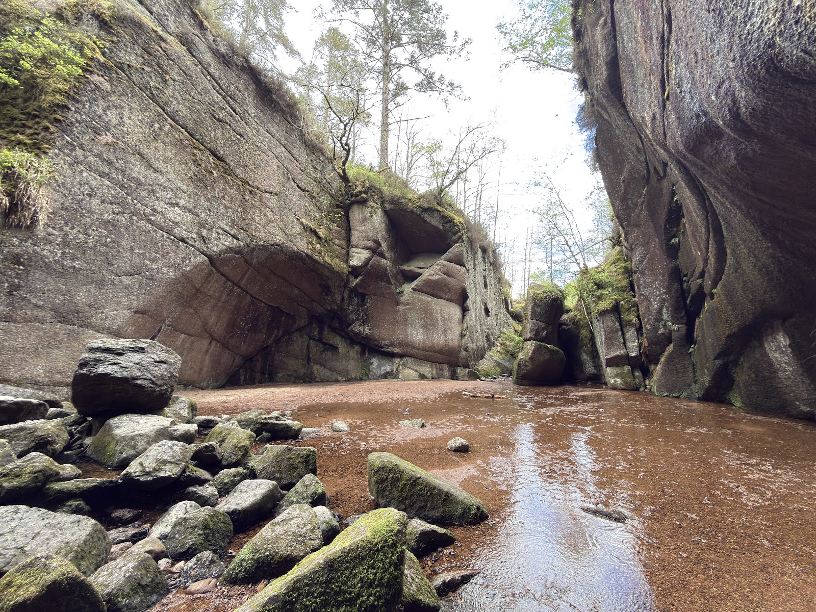 Muir of Dinnet National Nature Reserve — Place photograph