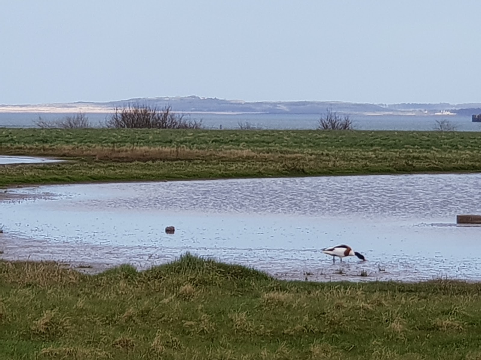 Musselburgh Lagoons — Place photograph