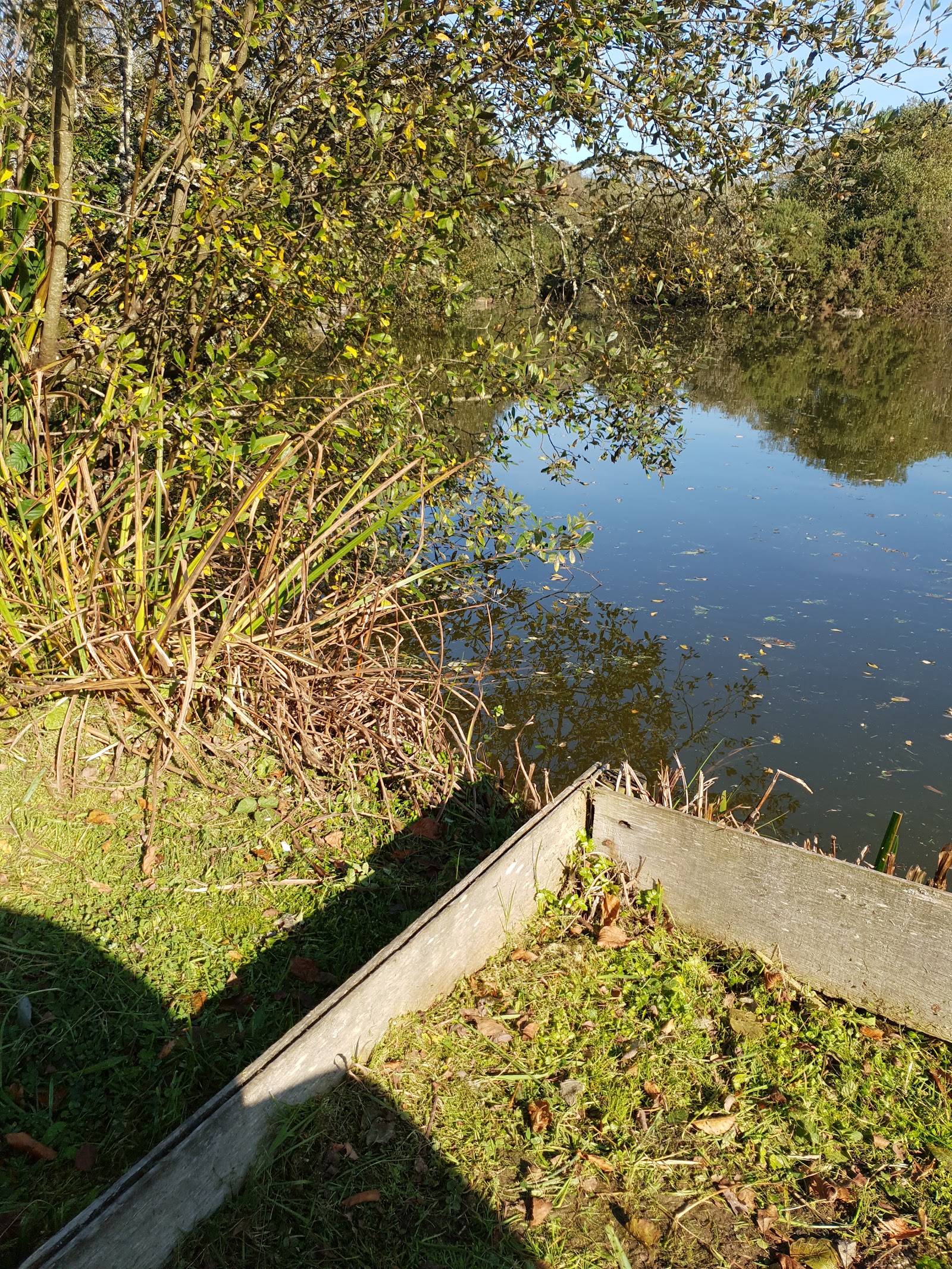 Nance Fishing Lakes