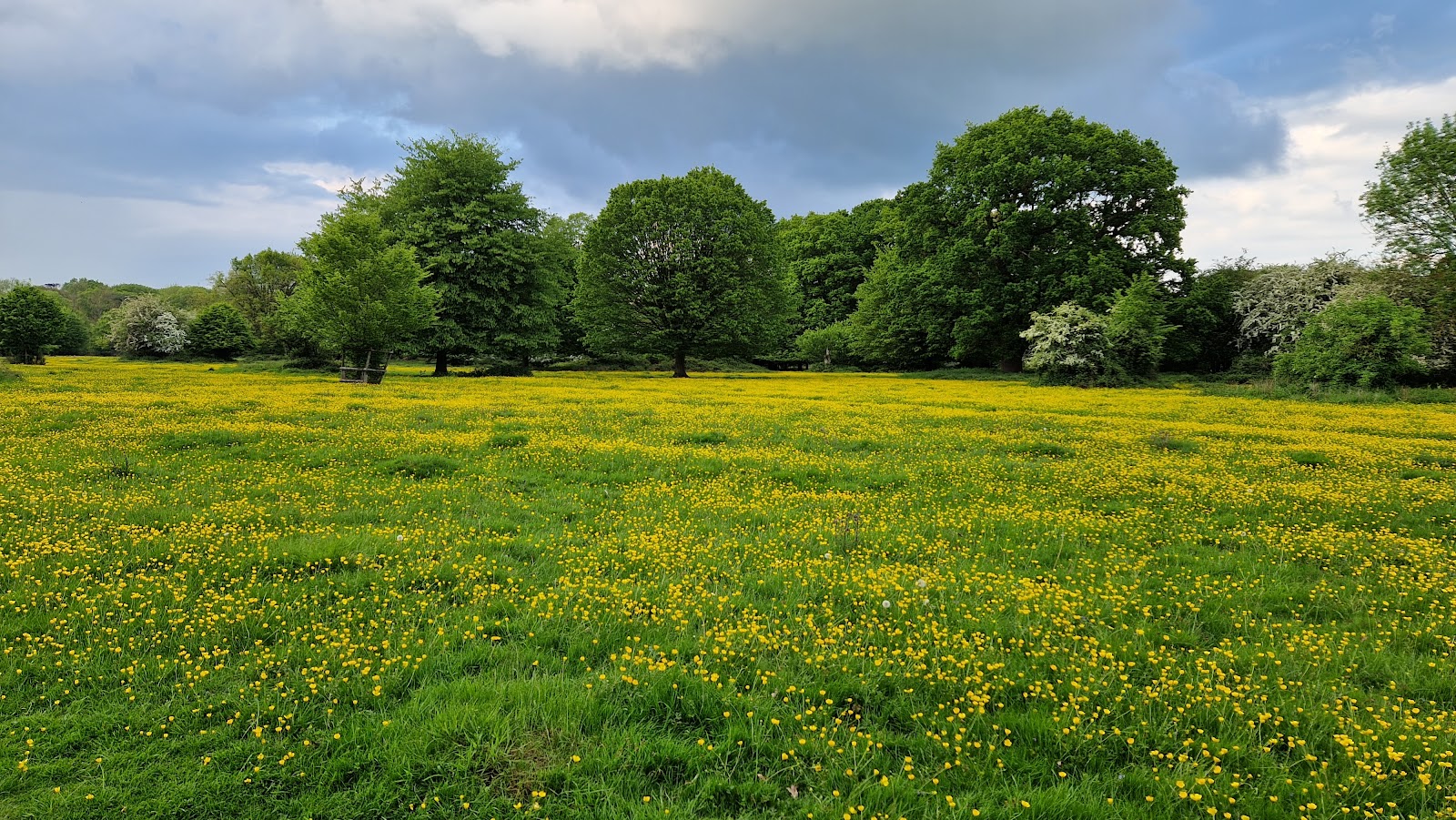 National Trust - Hatfield Forest
