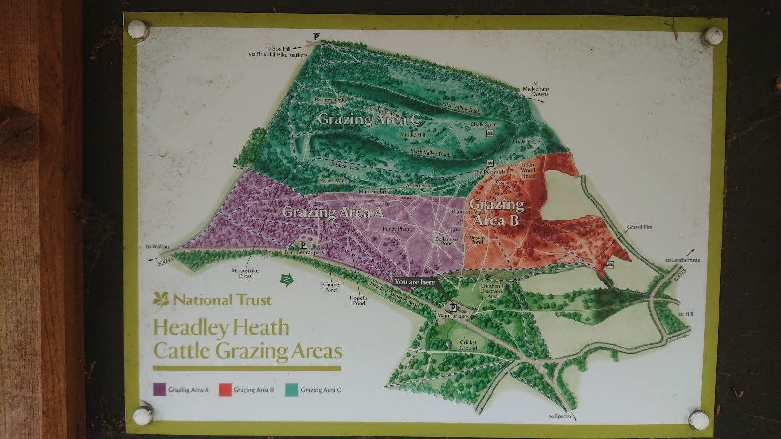 Headley Heath — Place photograph