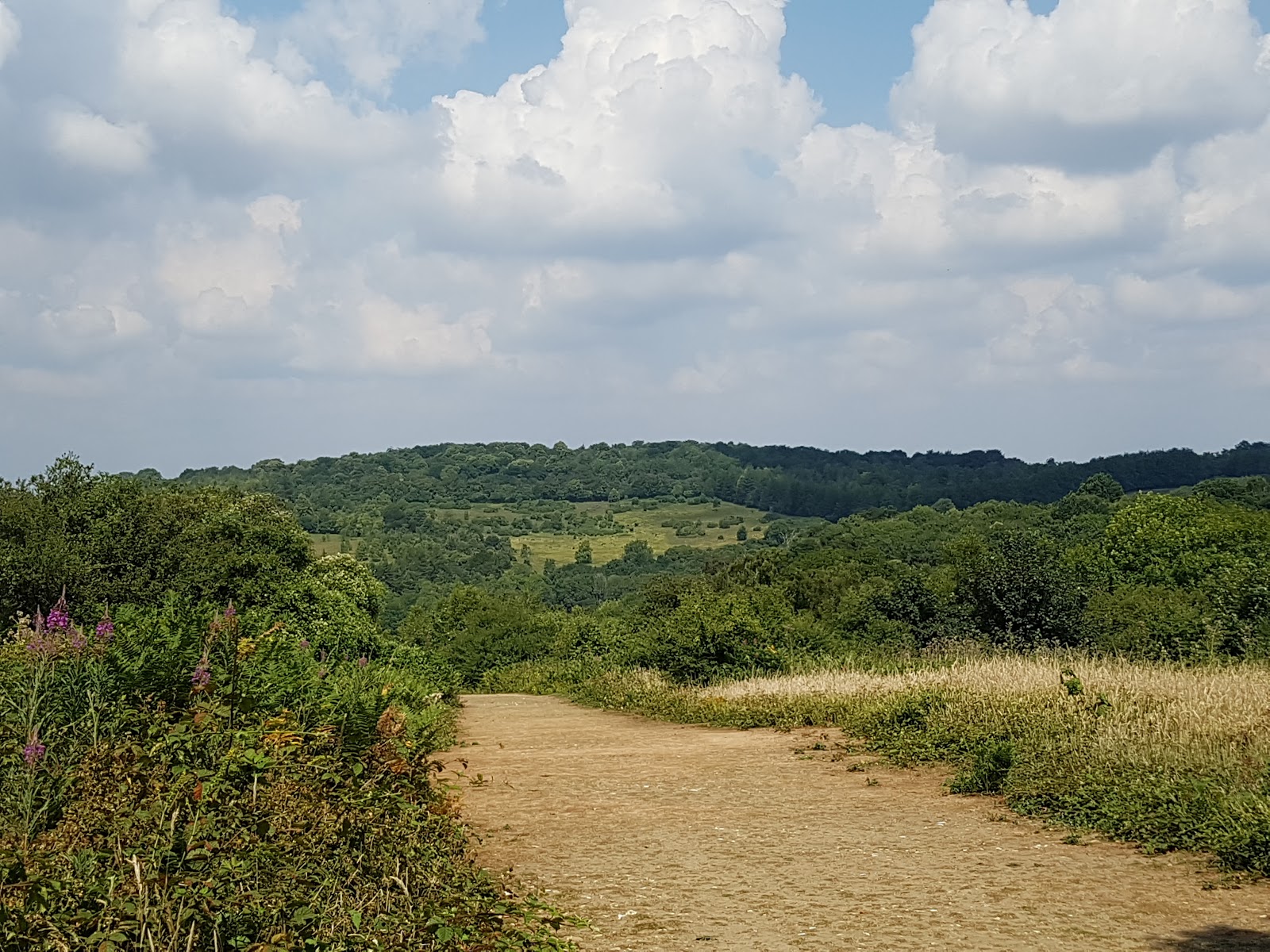 National Trust - Headley Heath