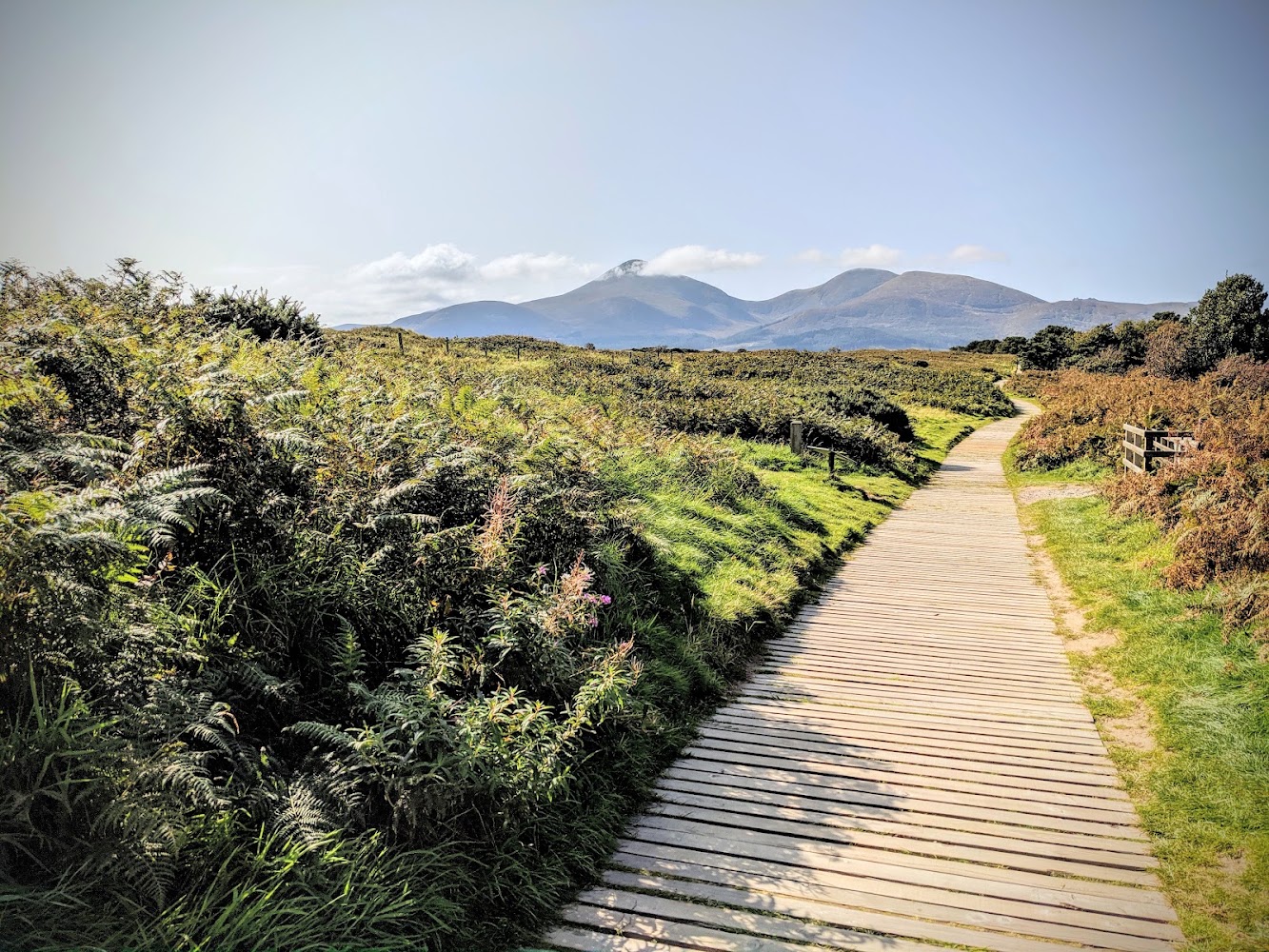 Murlough National Nature Reserve — Source image