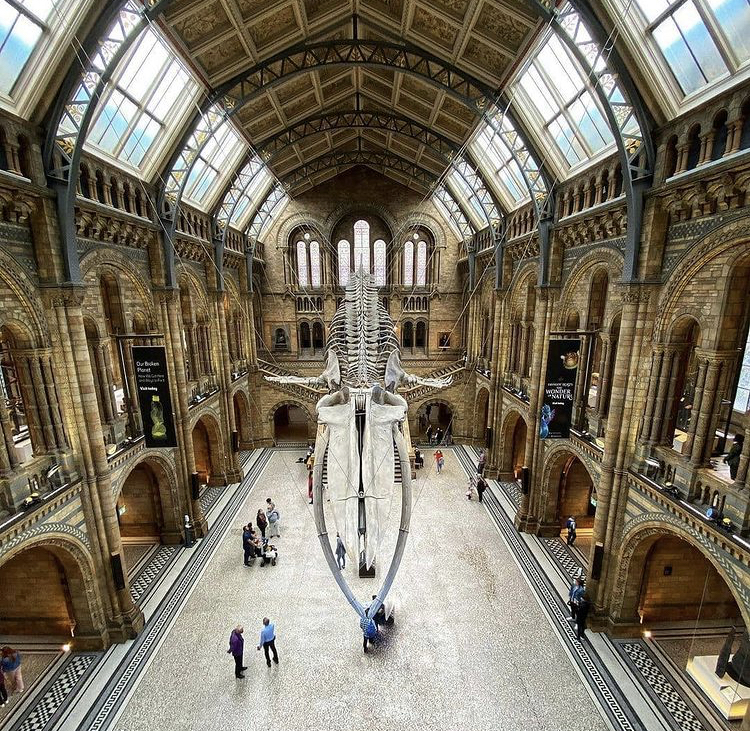 Natural History Museum — Source image