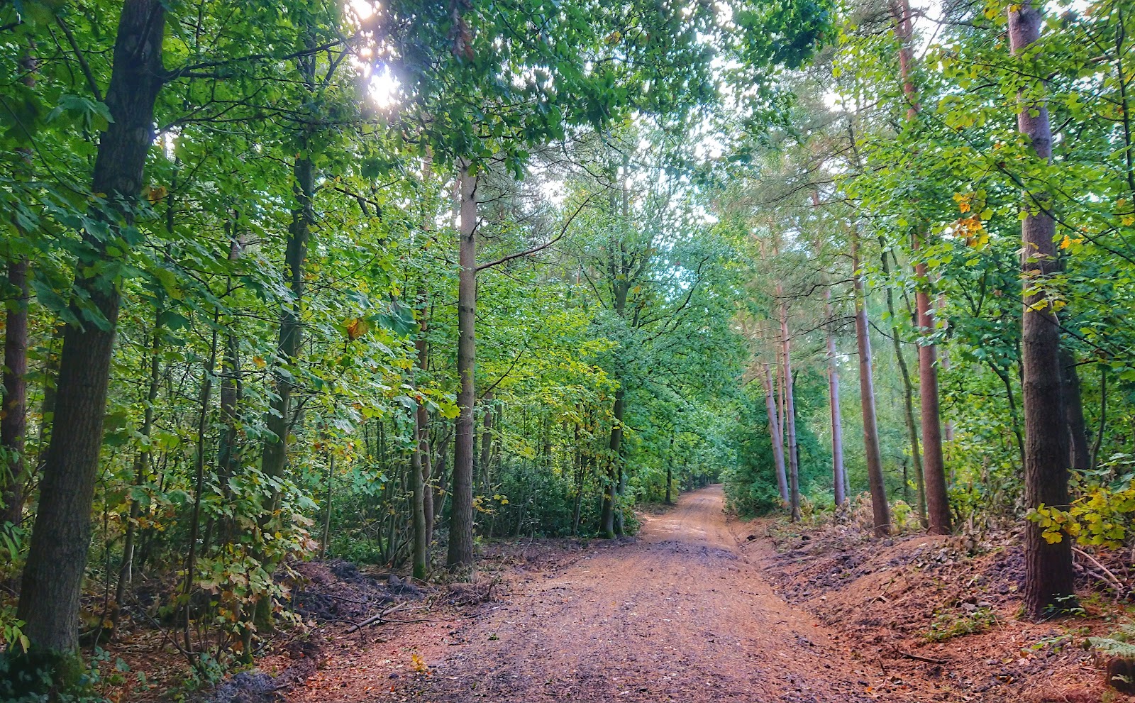 New Lount Nature Reserve — Place photograph