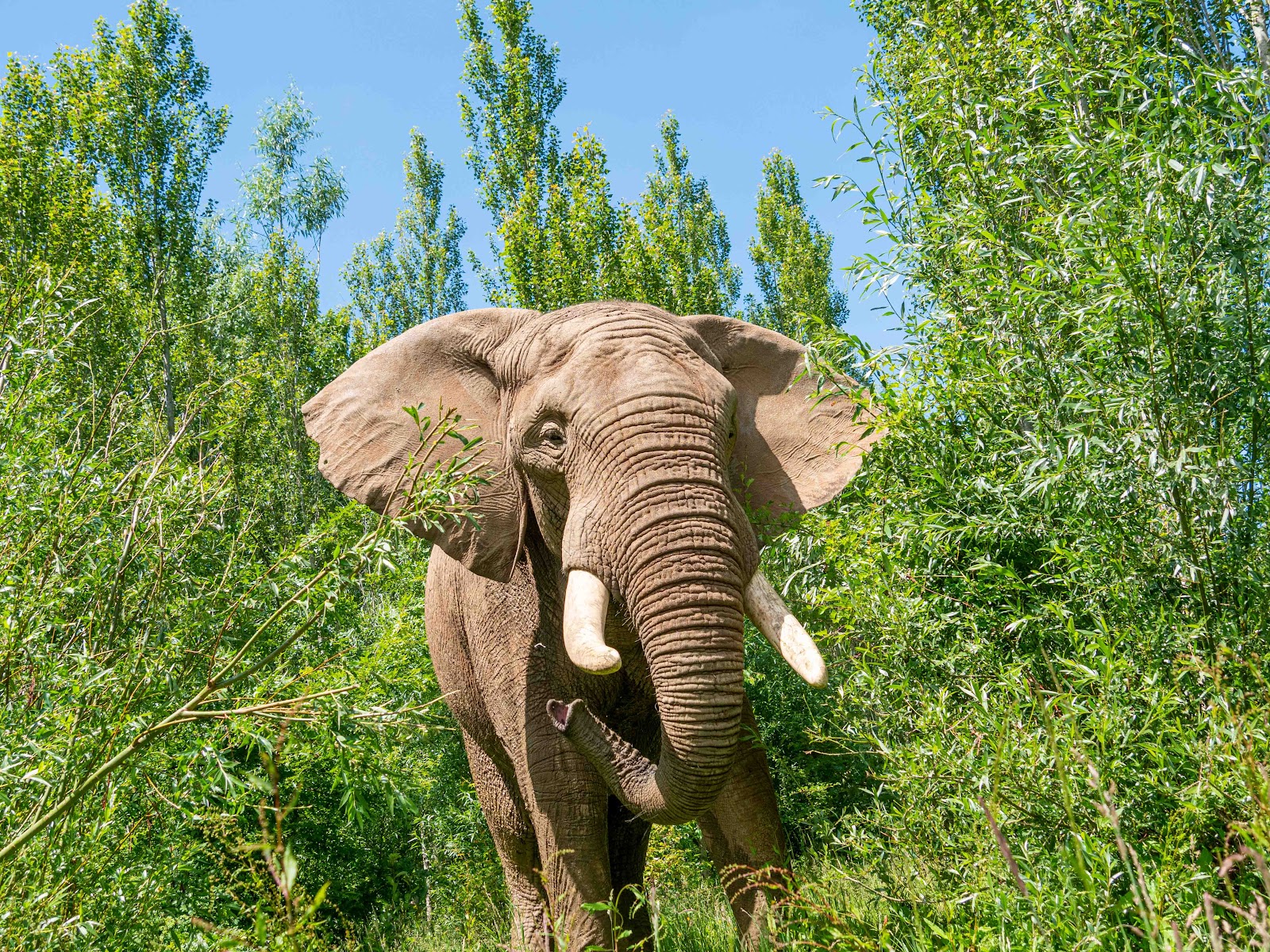 Noah’s Ark Zoo Farm — Place photograph