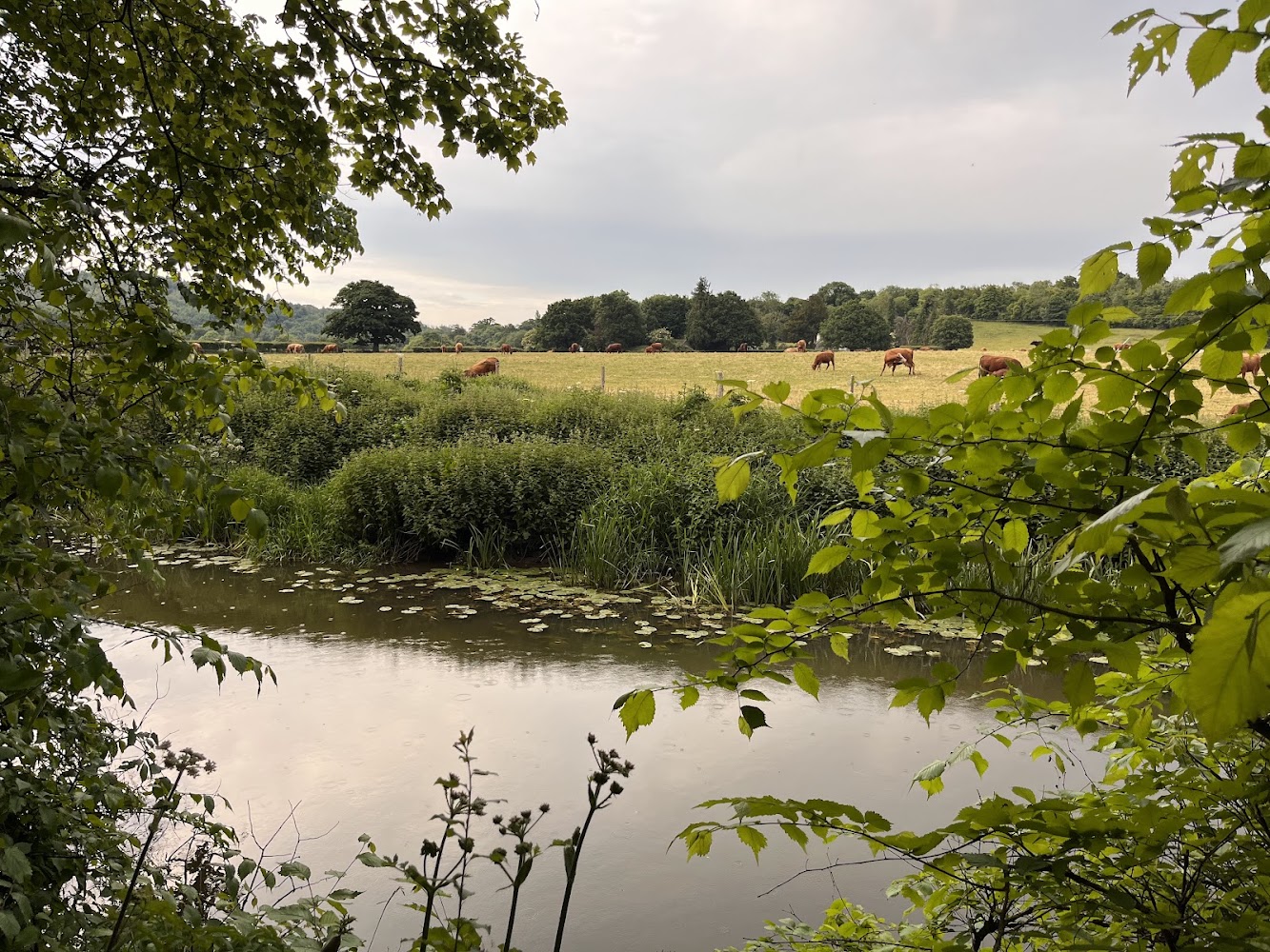 Norbury Park — Source image