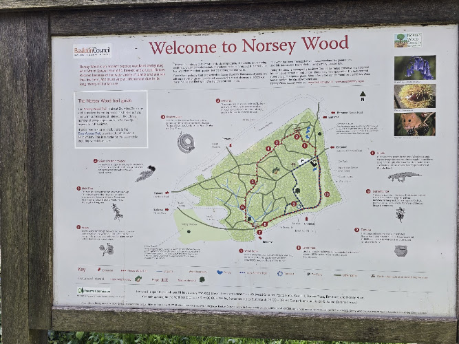 Norsey Wood Local Nature Reserve — Source image