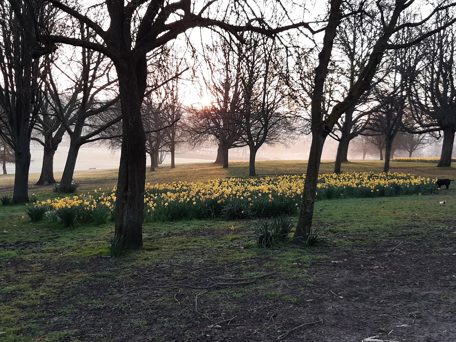 Oak Hill Wood, London Wildlife Trust