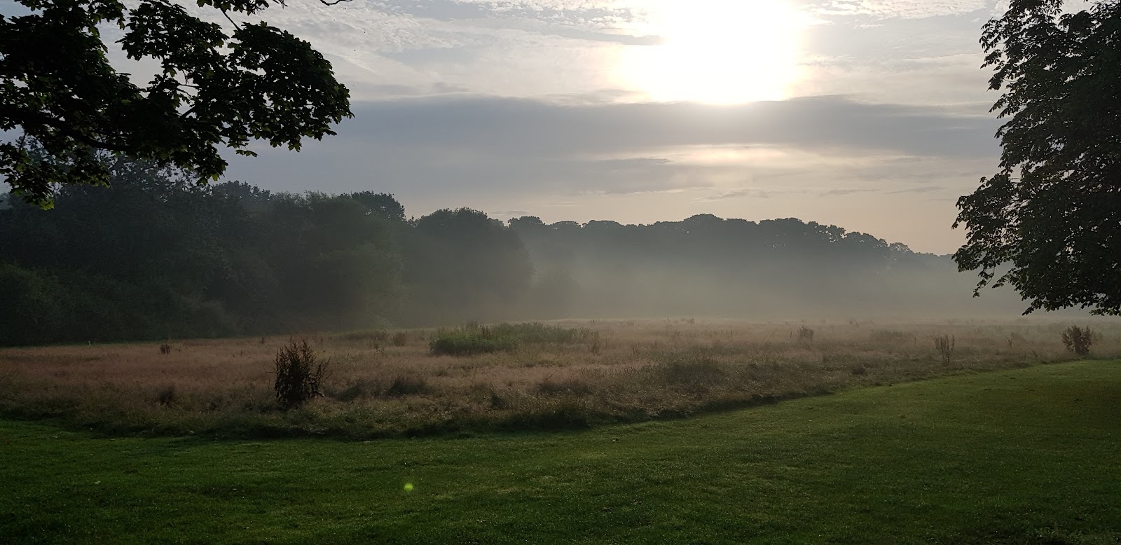Oak Hill Wood — Place photograph