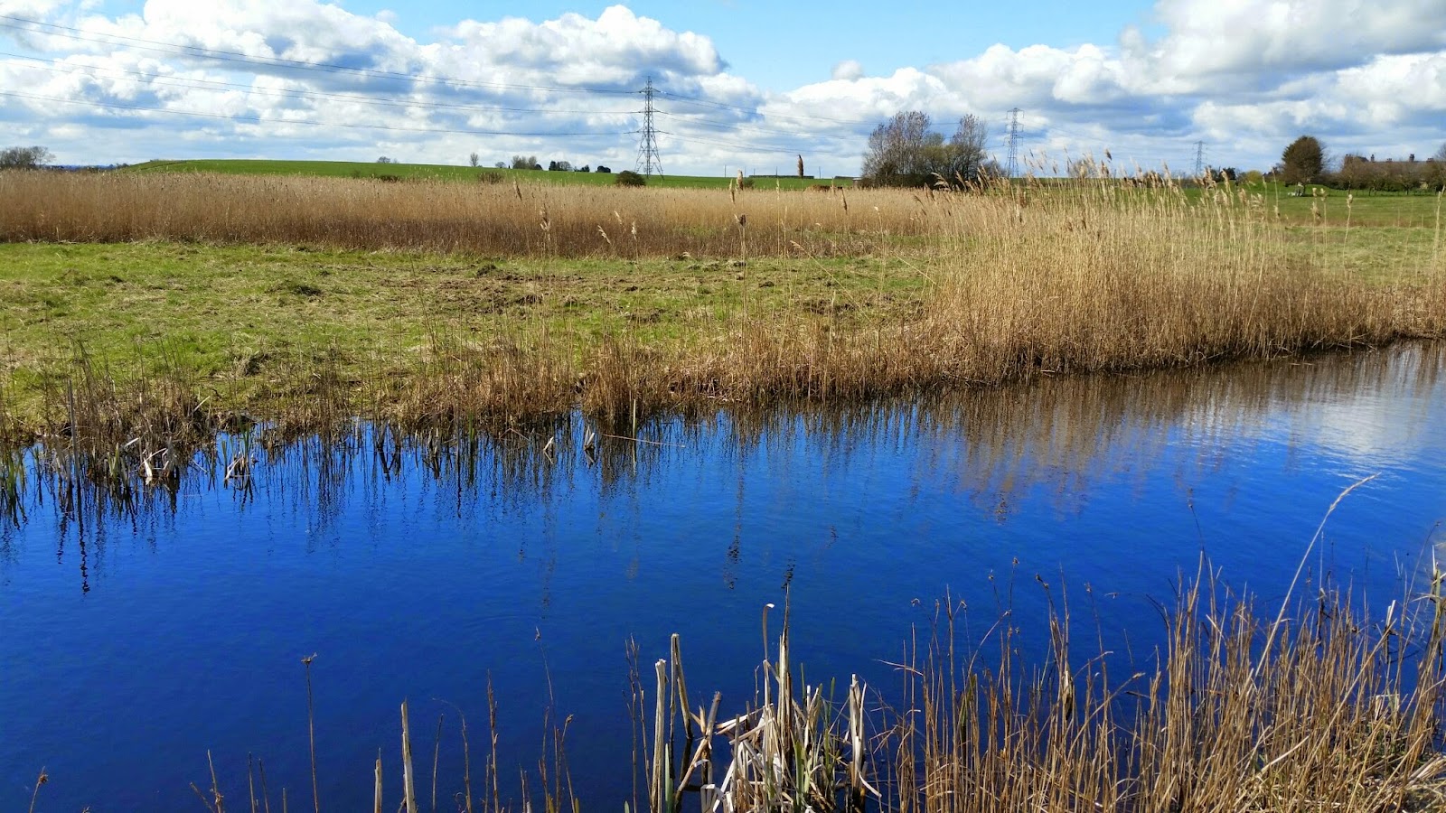 Oare Marshes — Source image
