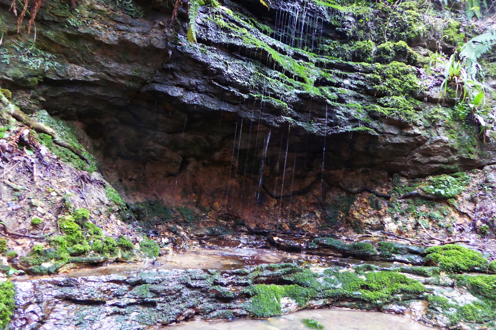 Old Roar Gill and Coronation Wood — Place photograph