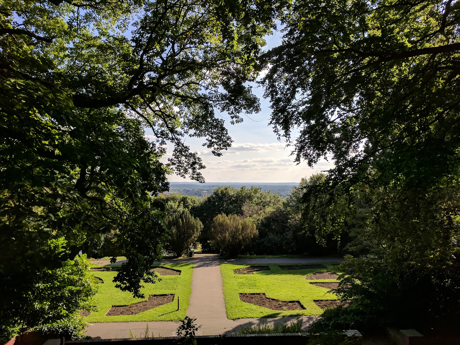 Oxleas Wood