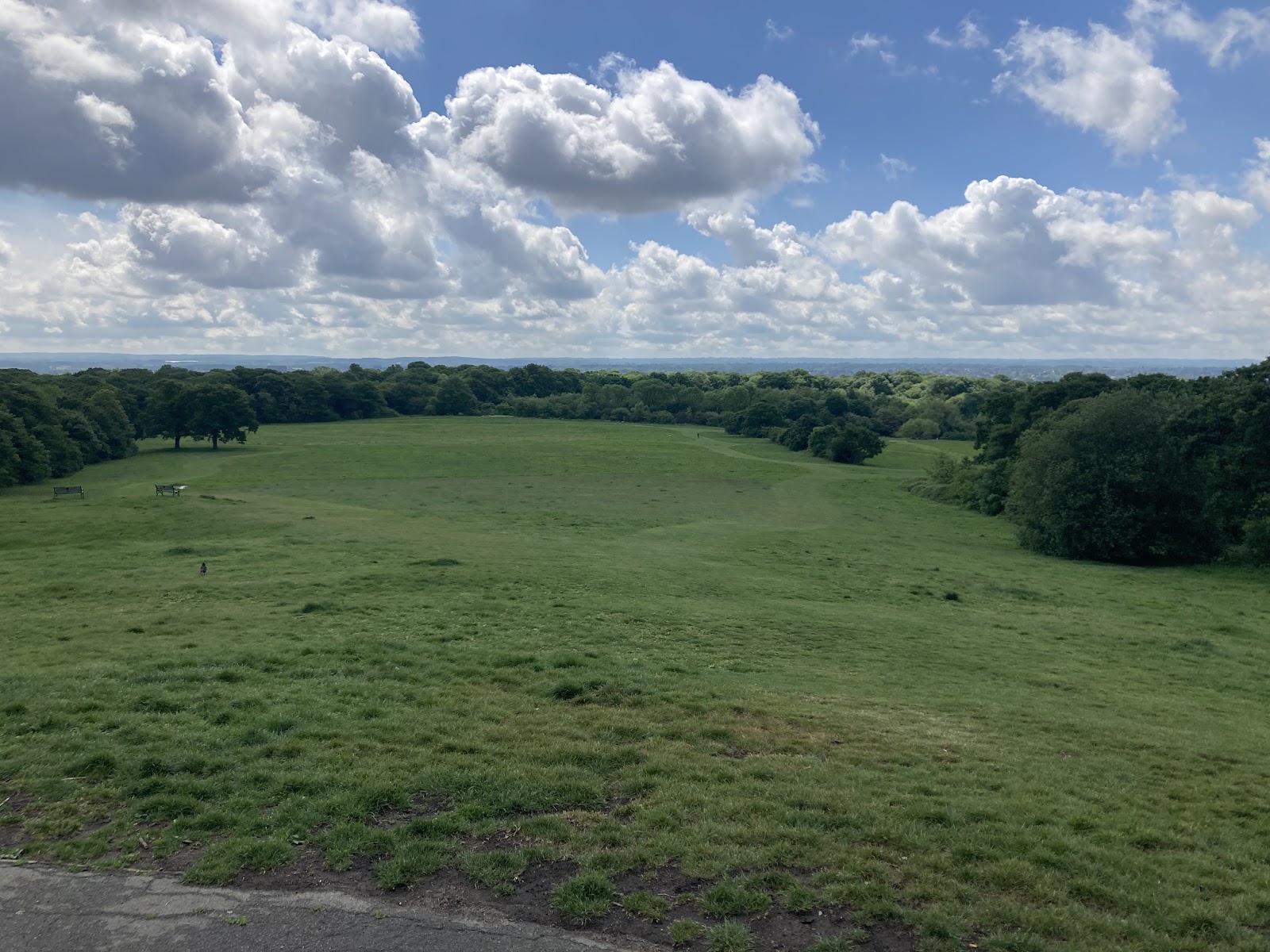 Oxleas Wood