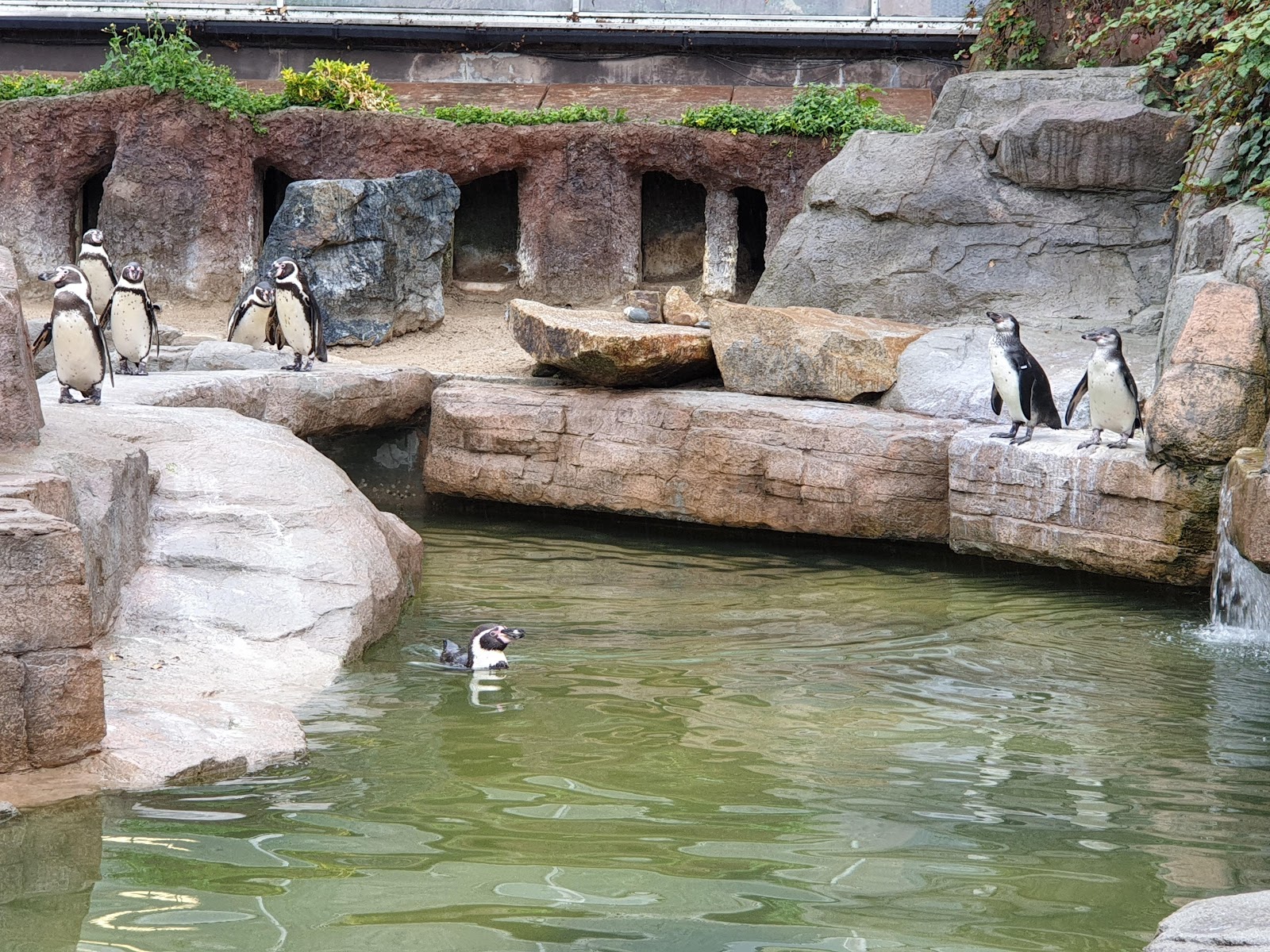 Paradise Park and JungleBarn — Place photograph
