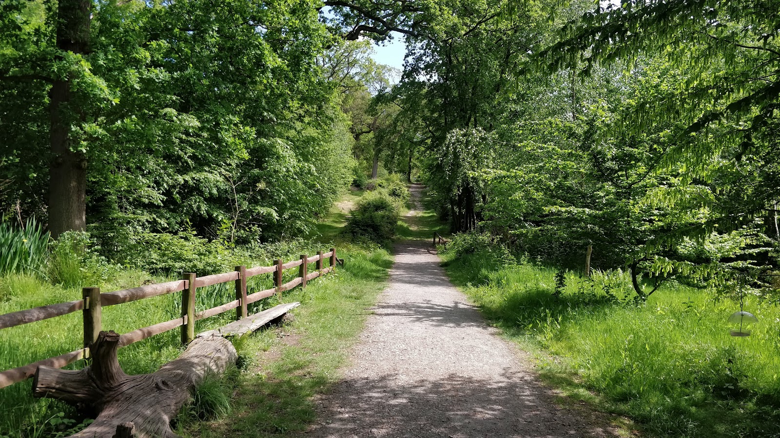 Parndon Wood Nature Reserve — Place photograph
