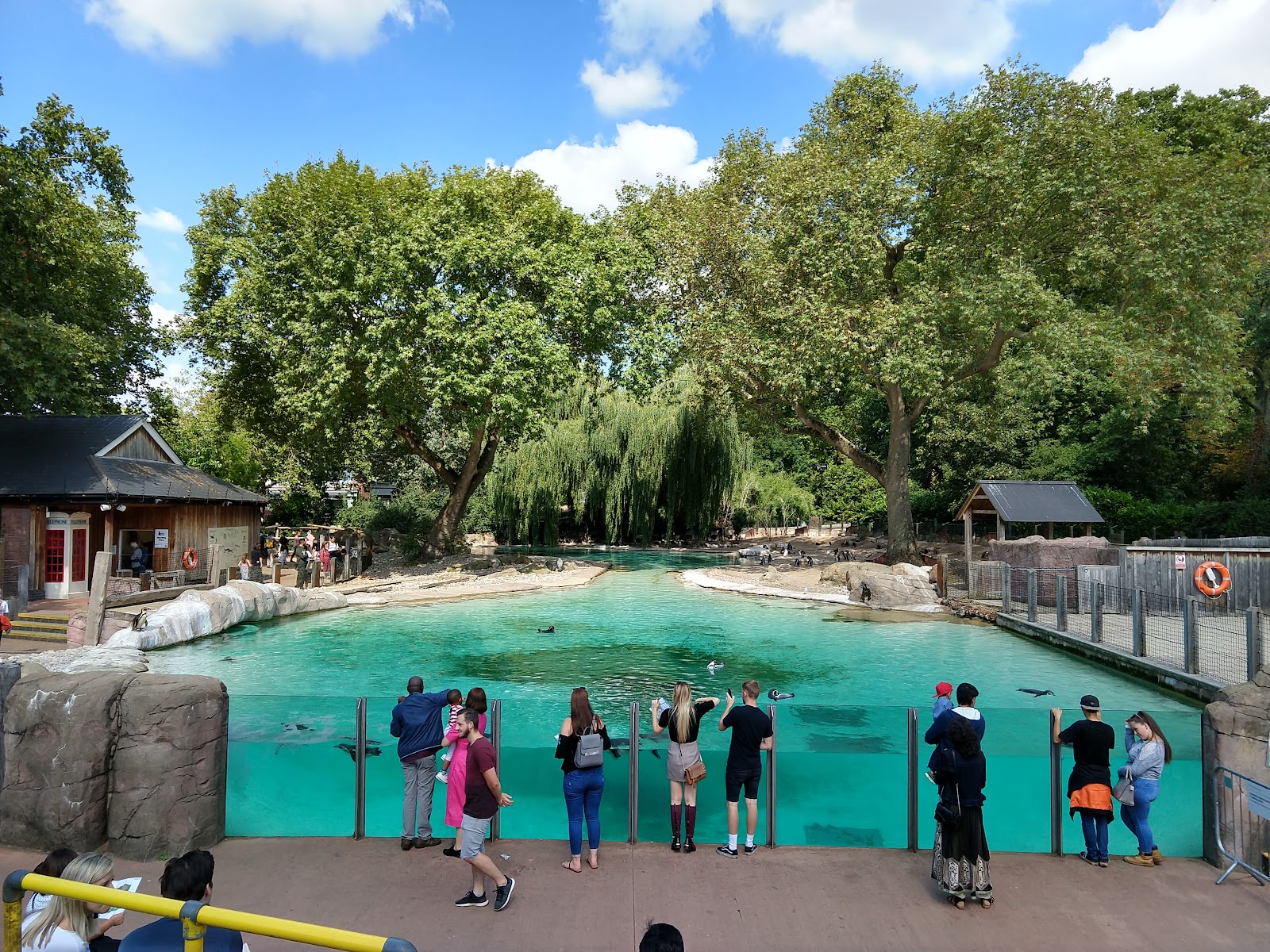 Penguin Beach — Place photograph