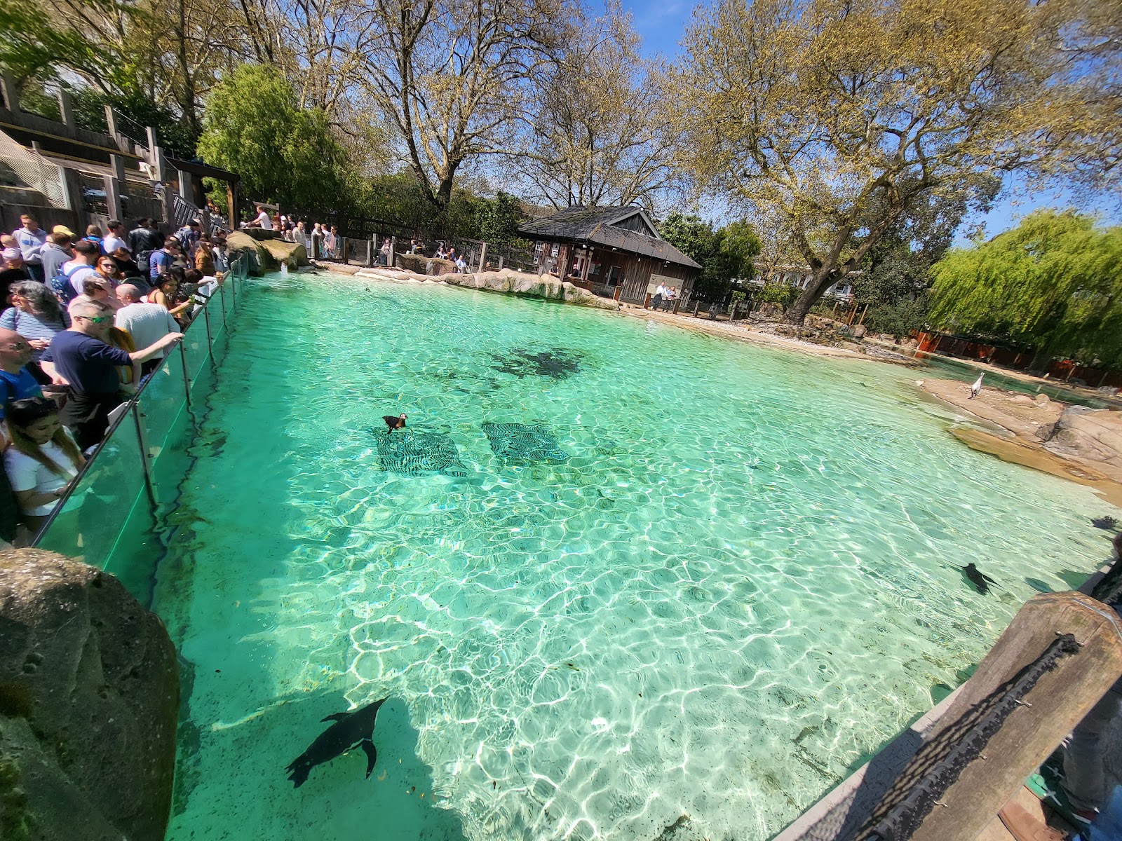 Penguin Beach