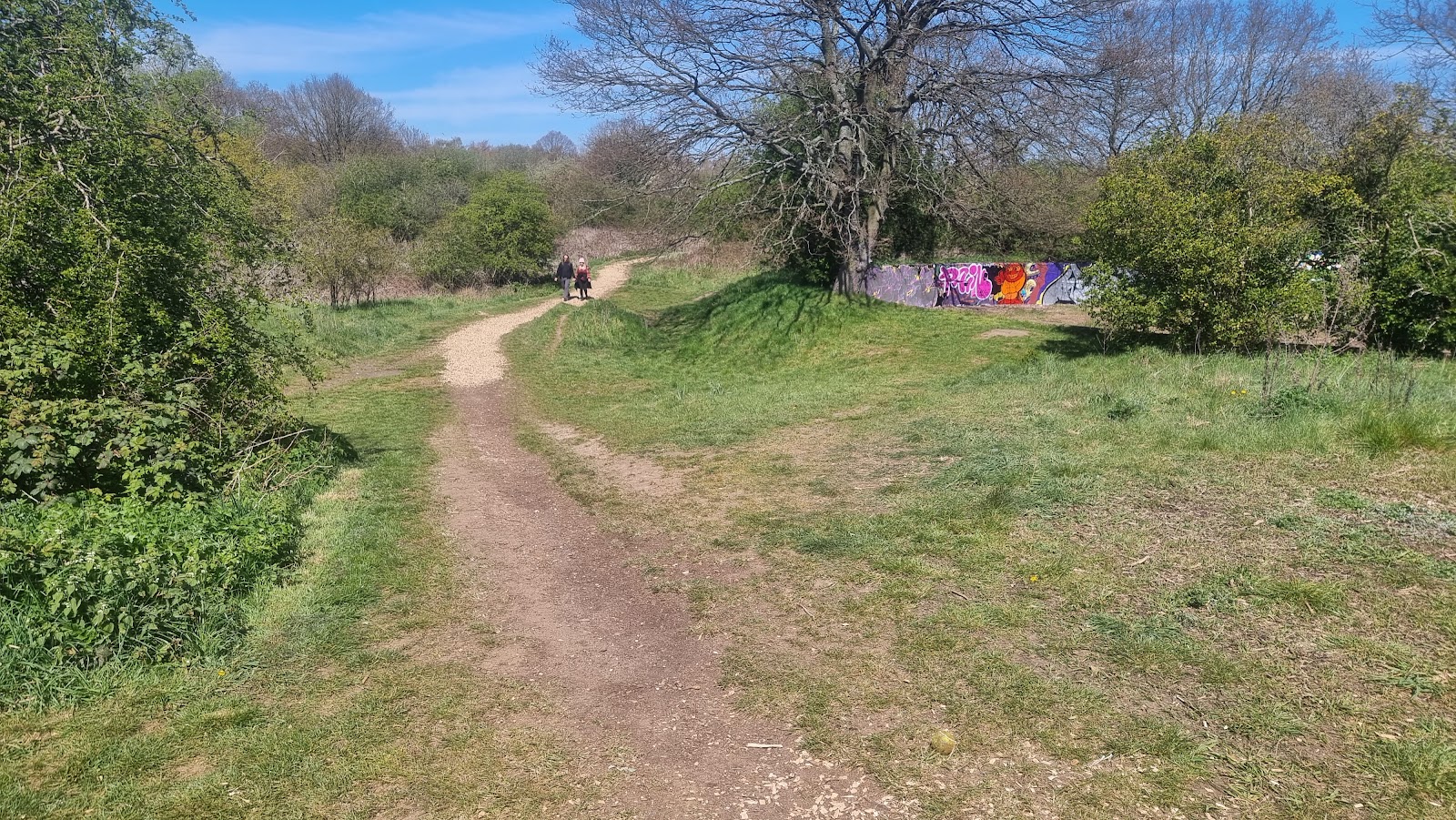 Pevensey Road Nature Reserve — Source image